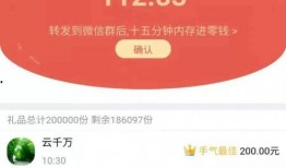 白露夺宝最新爆料消息是真的吗