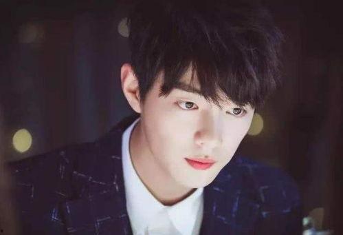 肖战八卦吃瓜娱乐,娱乐圈风云再起，八卦吃瓜背后的真相揭秘